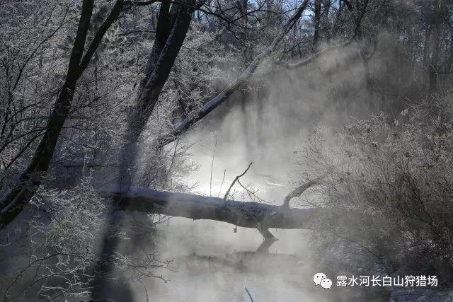 微信被删了给对方状态点赞对方会看见吗?- 专业有问必答平台
