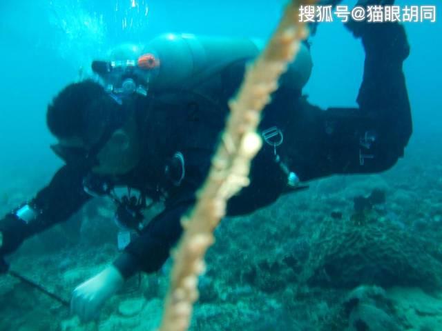 洗衣机电机不转,但用手转一下它就转了,请问是什么原因?知识星球,深度分享与交流